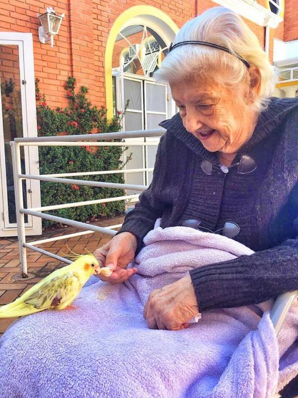 Clínicas de Repouso para Idosas Castelo - Clínica para Idosos para Alzheimer